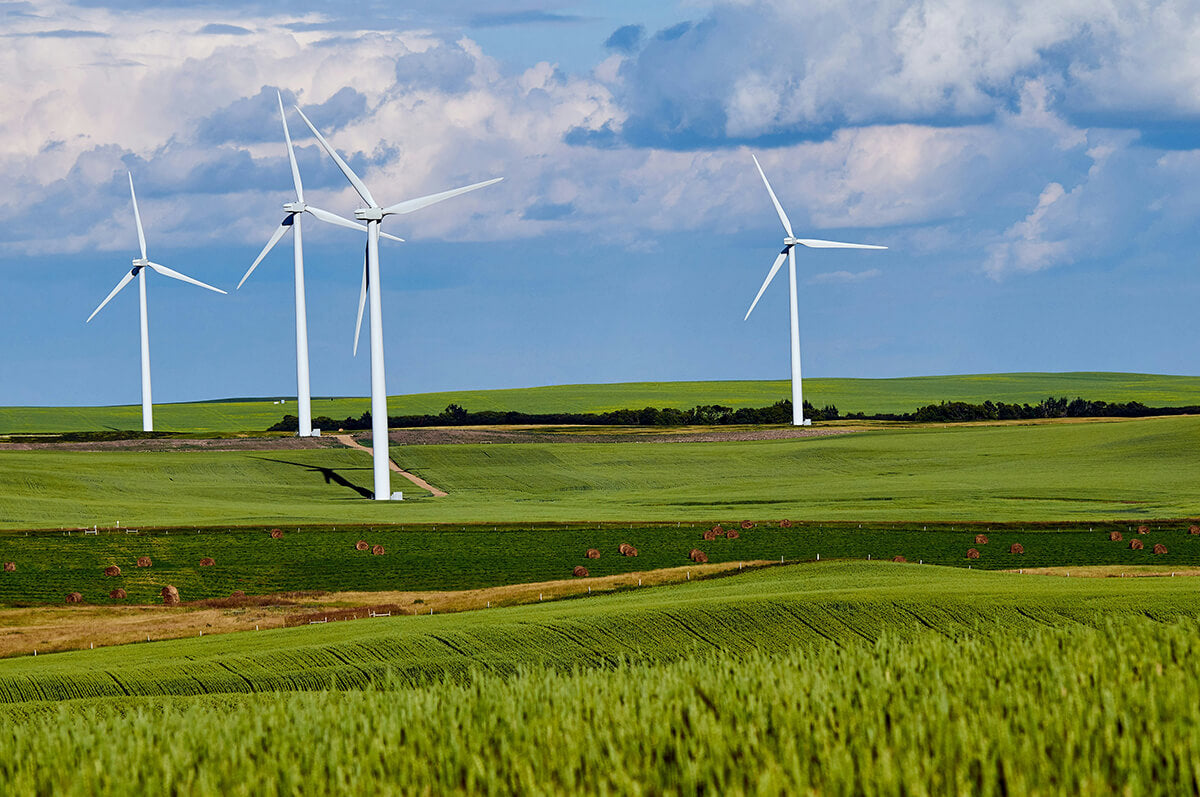 Sustainable Development